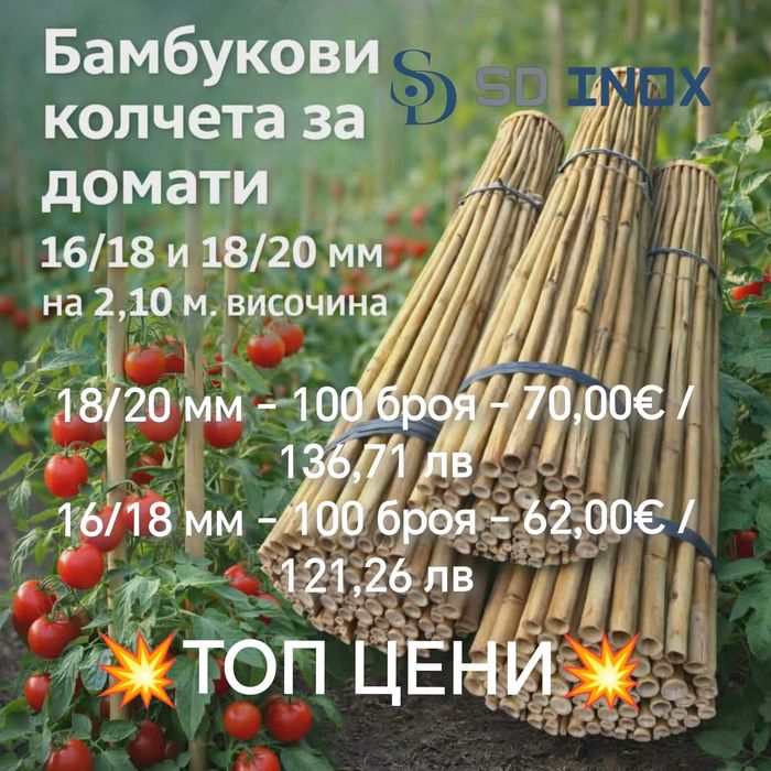 Бамбукови колчета 18/20 мм и 16/18 мм за домати / Нови по ниски цени