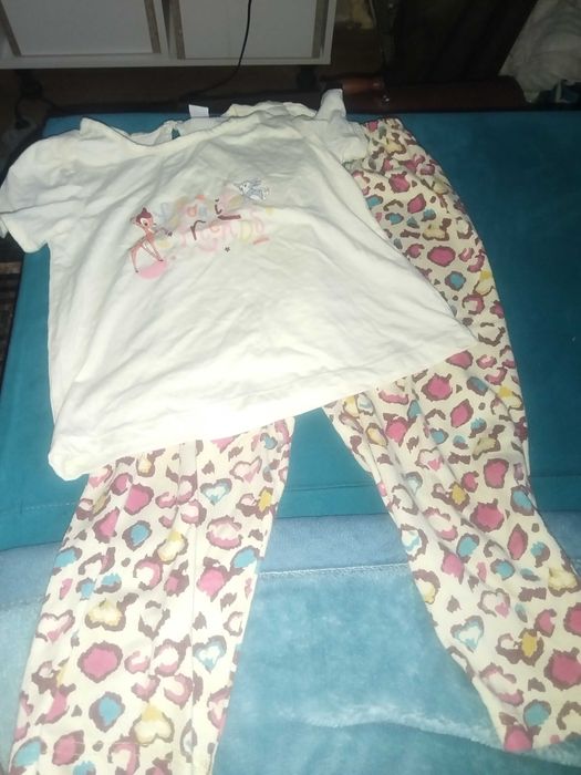 Отдам бесплатно.       .