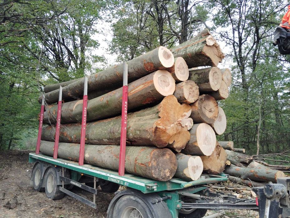 Lemn foc cantitati mari