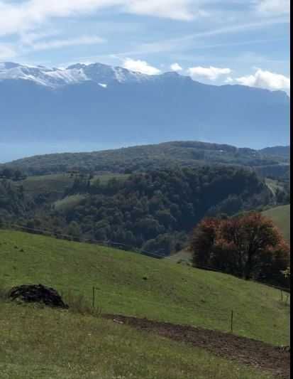 Teren intravilan construibil Poiana Marului, Brasov