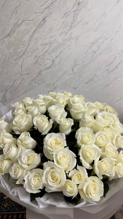 Белые розы,голландские,51шт