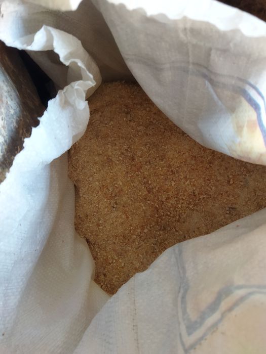 Продаются домашние яйца