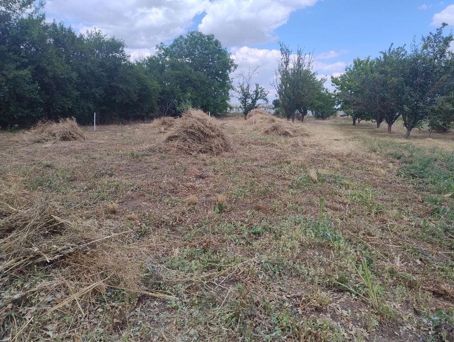 Продавам къща с дворно място в с. Дъбовик