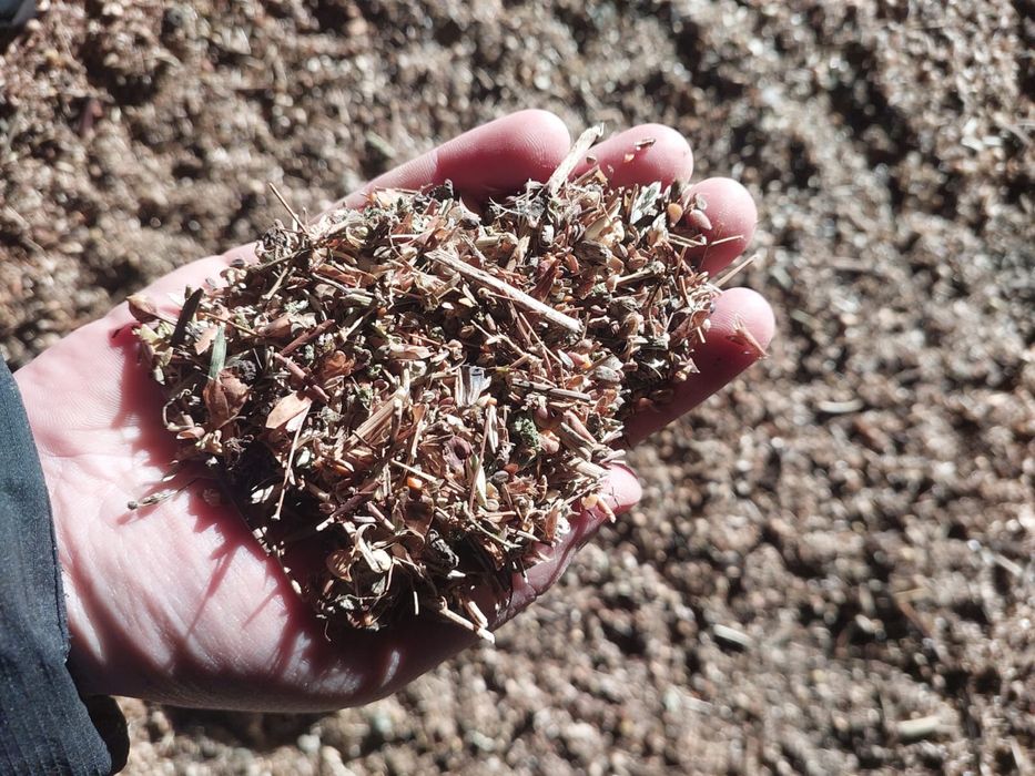 Отходы чечевицы срочно