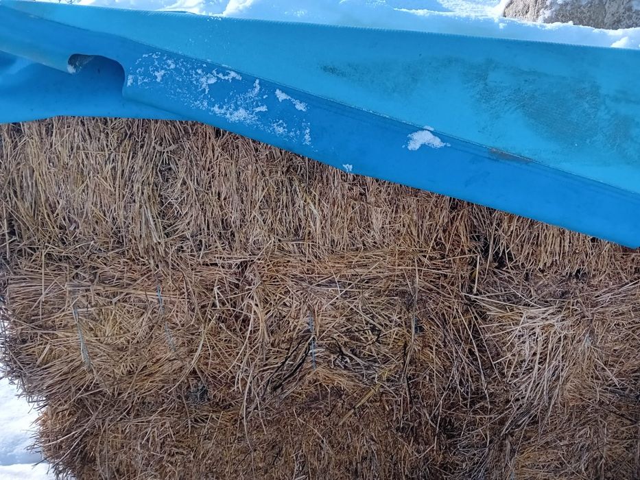 Baloti de Lucerna trifoi