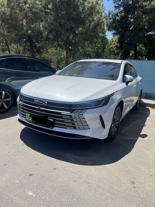 Byd chazor arenda