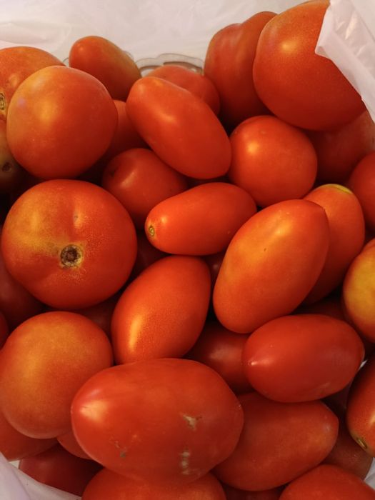 Продам помидоры домашние