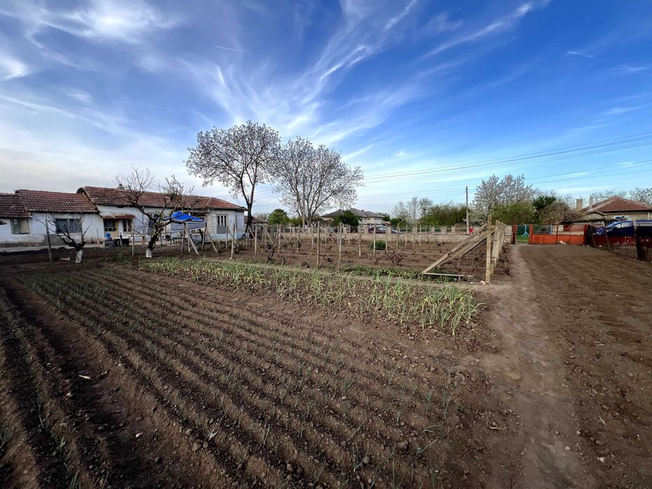 Продава се Парцел в с. Люляково, Област Добрич - 1200 кв.м за 3 €/кв.м - Снимка #3