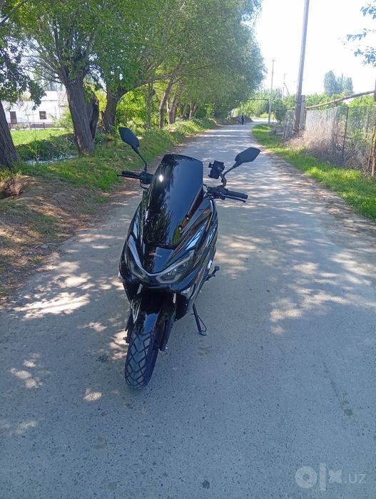 Bezinli motosekil