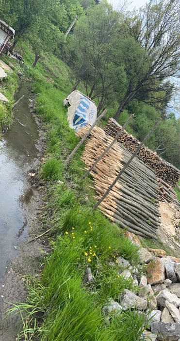 Vând parii gard eletric, vie, rosii, fasole,gard.