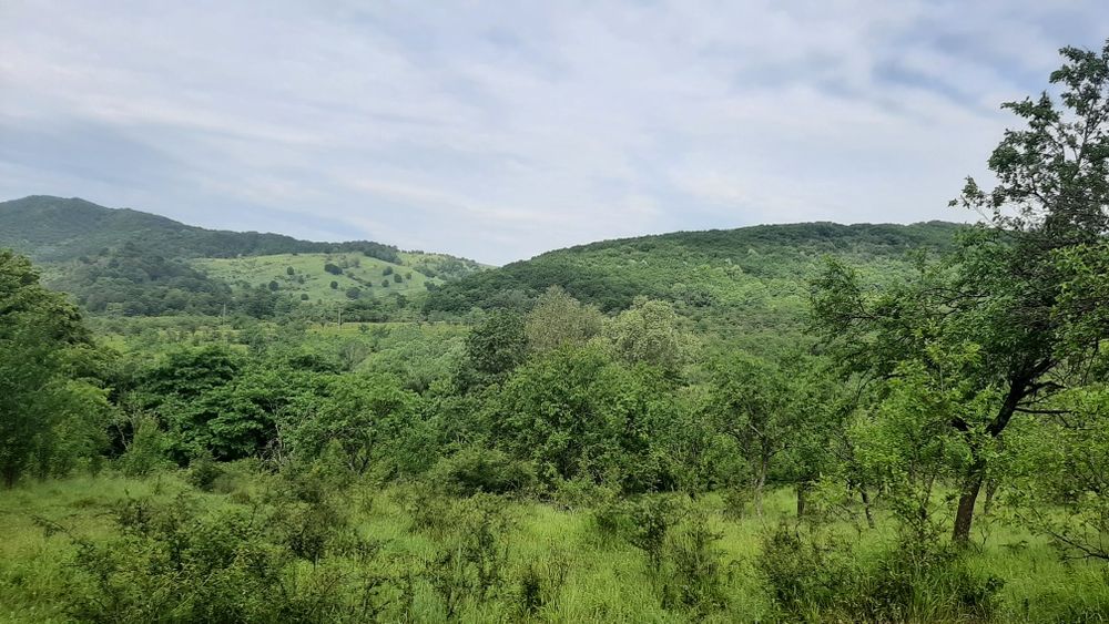 Teren de vânzare .SCHIMB .