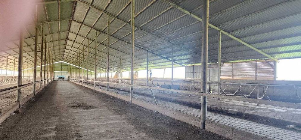 Ферма 10 Га по трассе Самарканд Карши