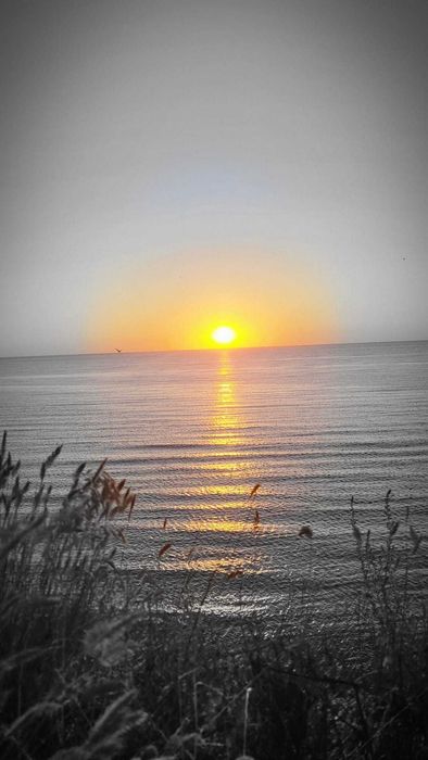 2 Loturi de teren 2 Mai posibilitate Rate