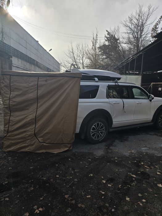 Маркиза веерная.