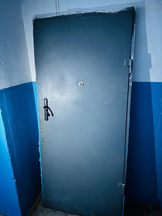 Металлическая дверь входная