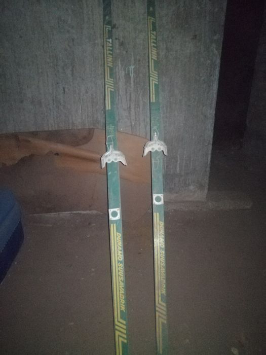 Лыжи деревянные целые