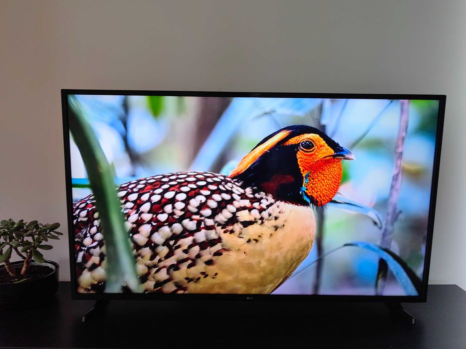 TV Smart LED LG 55UQ91003LA, 139 cm, Ultra HD 4K