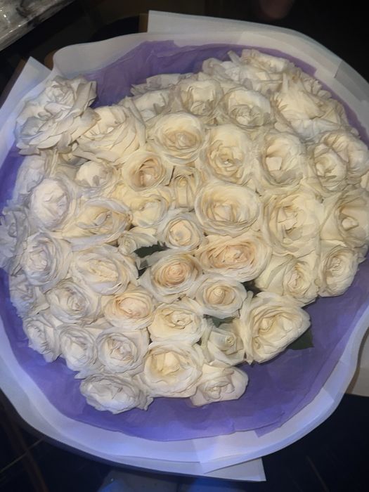 51 одна роза,свежие