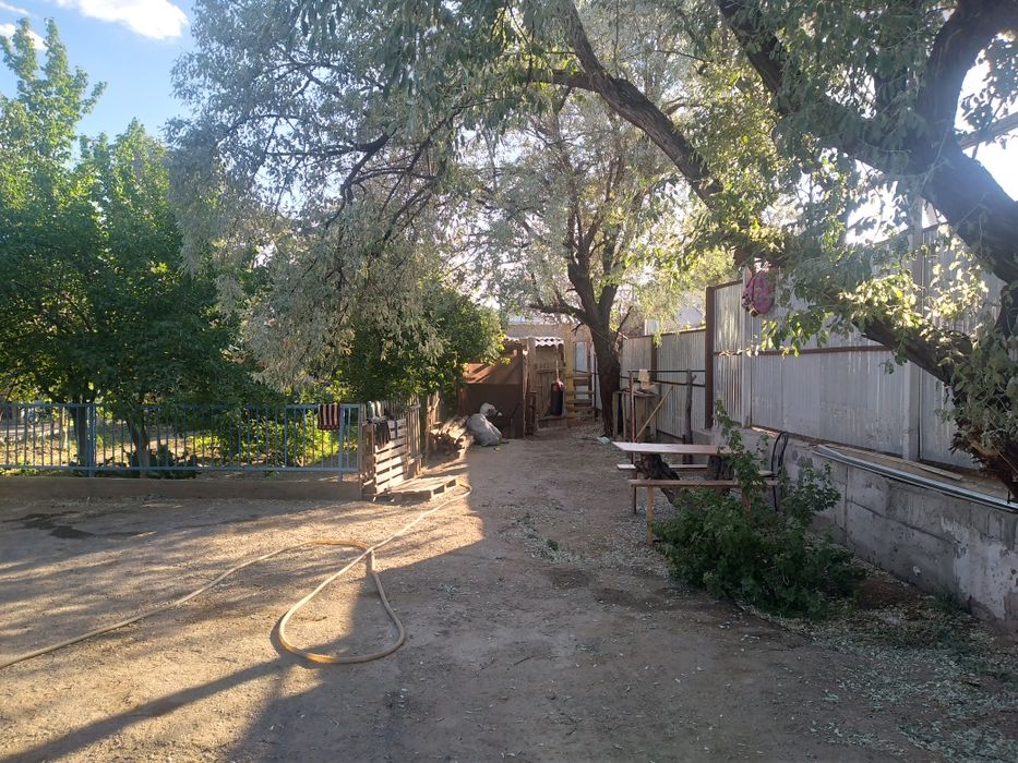 Уи сатылады 5 болме