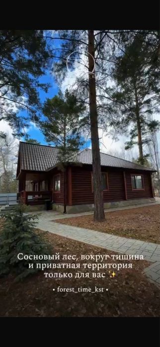 Дом в лесу с приватной территорией