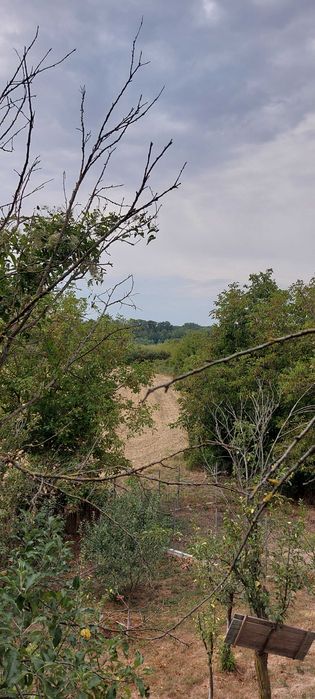 Teren cu casă si dependințe - vânzare - direct proprietar #Bucuresti-Ploiesti # Pădurea Scroviștea #Mănăstirea Pisiota