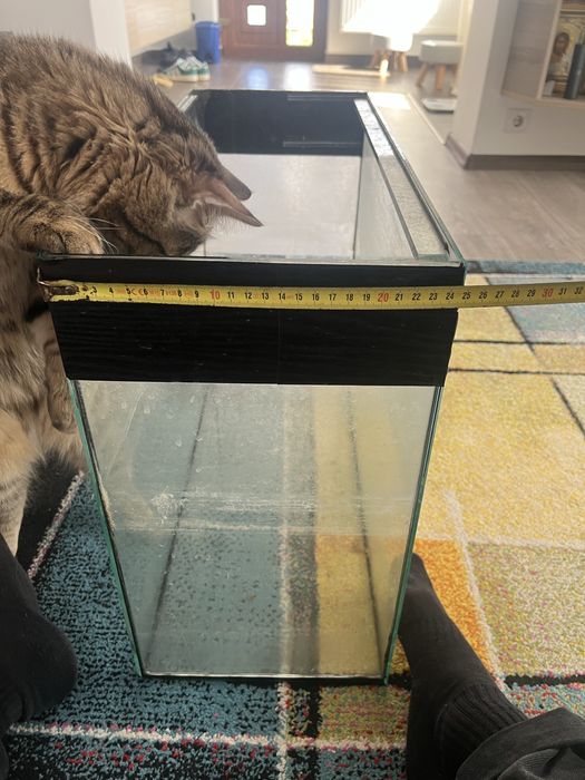 Acvariu pesti 60x25x45