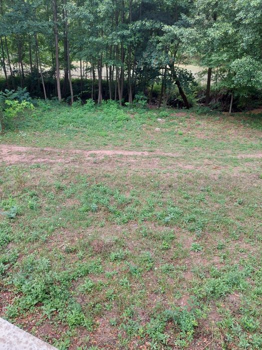 Casa de vacanta cu 2 parcele