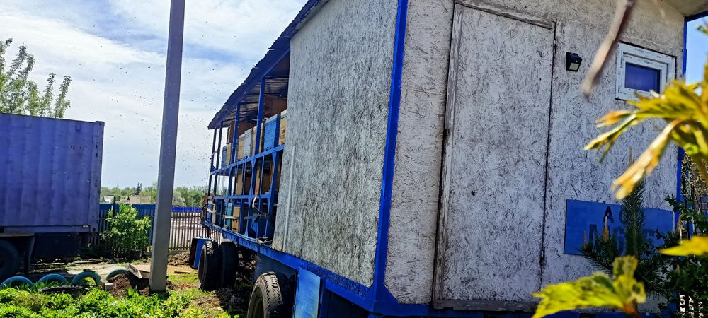 Прицеп пчеловодный