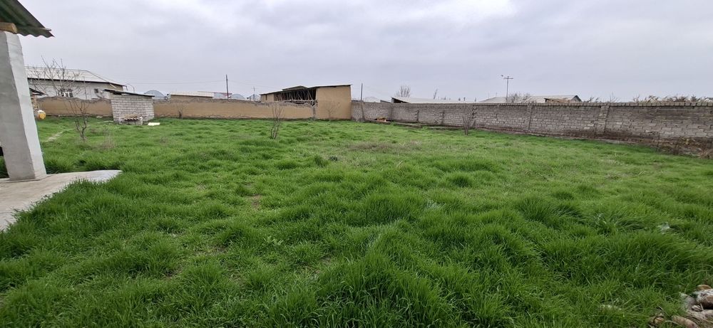 Продаю дом с участком