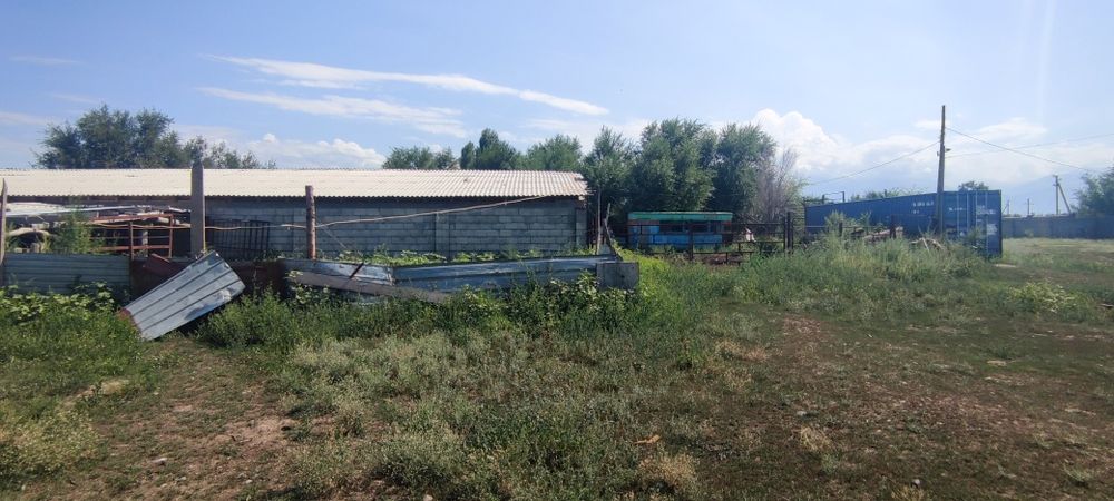 Продам Откорм базу в п Балтабай