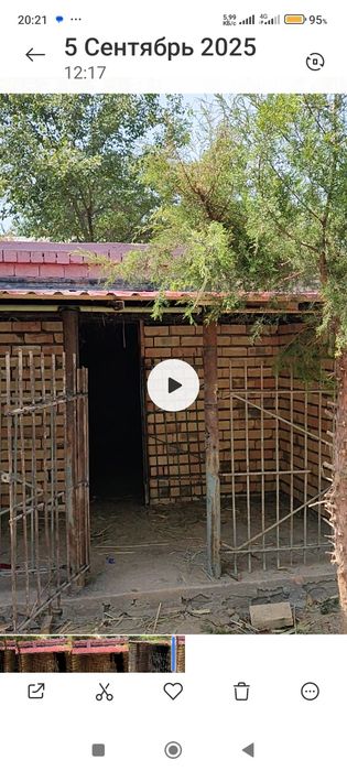 Передержка собак и кошек