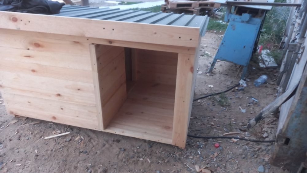 Собачье       будка