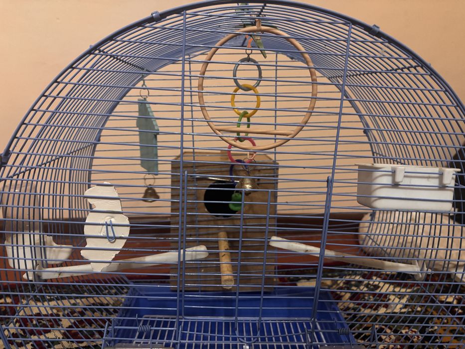 Продам клетку для птиц все необходимое есть.