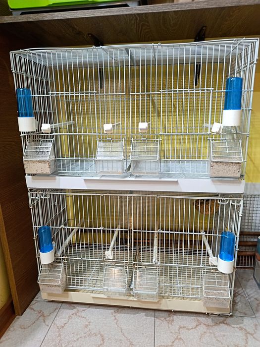 Colivii păsări  trei buc.