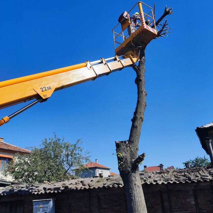 Подрязване на опасни клони , дървета с вишка и автовишка
