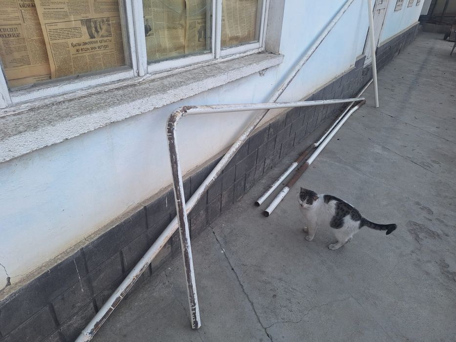 Паровой , печка рмз