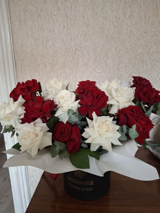 Свежие красивые розы