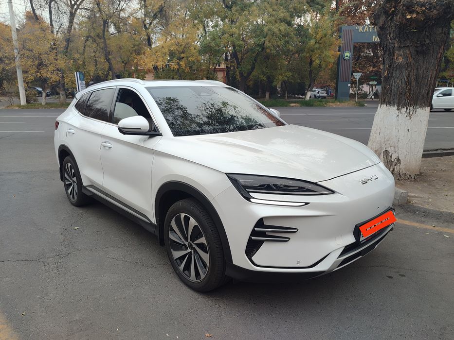 BYD Chamion 2025 EV 605