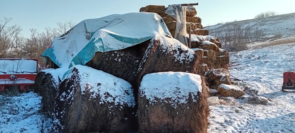 Baloti pătrați și rotunzi, fân și paie