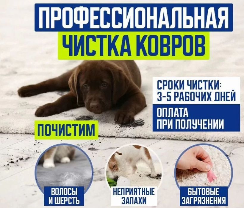 Стирка ковров Килем жуу Химчистка мебели