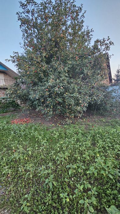 Продам дачу самал-3