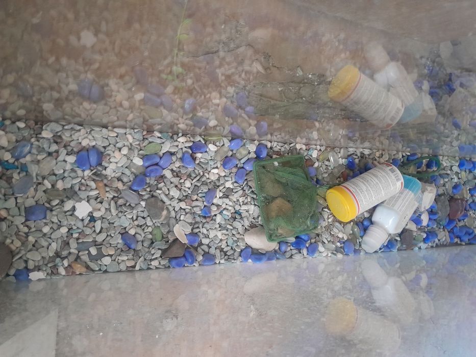 Аквариум  20.000