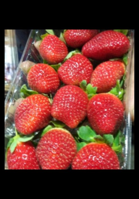 Sveji koksulton dovchala keldi