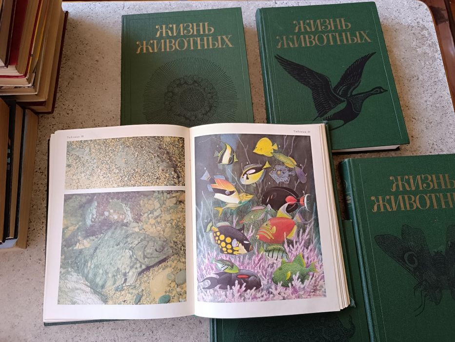 Продается энциклопедия животных
