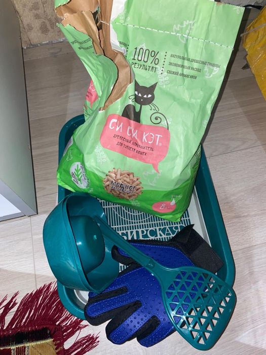 Лоток для кошек новый