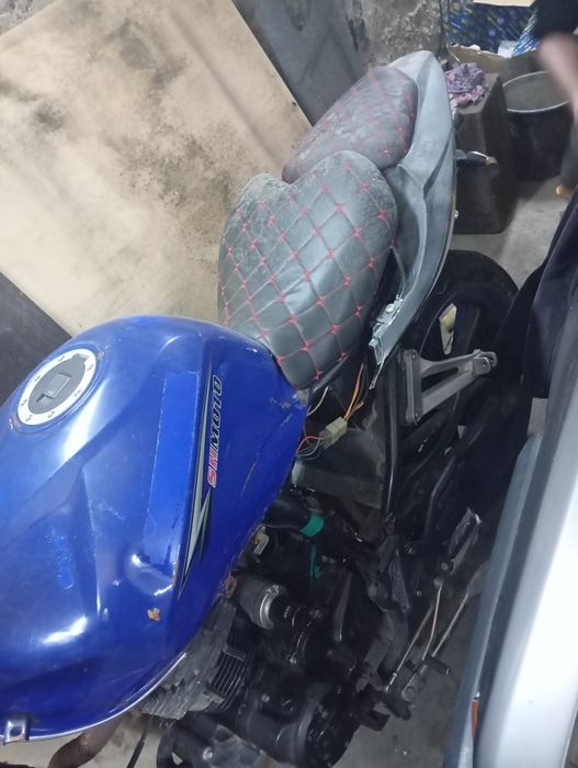 продам Рейсер фалькон