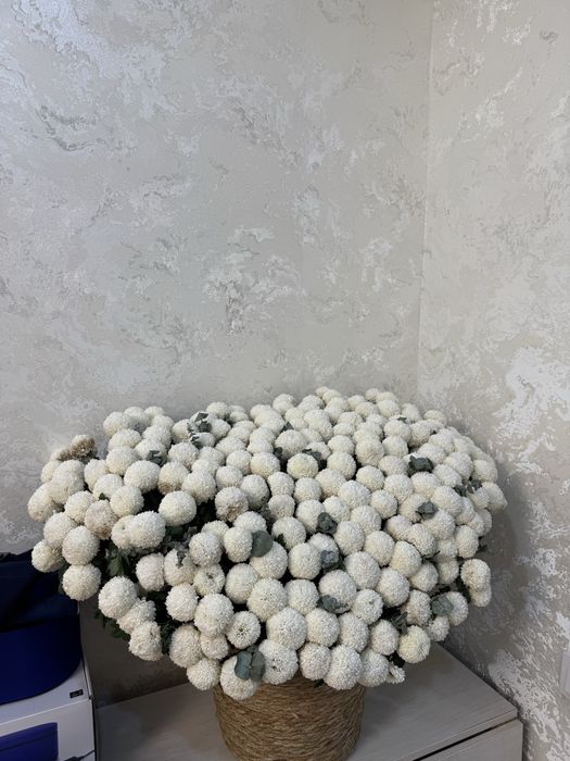 Продам цветы свежие