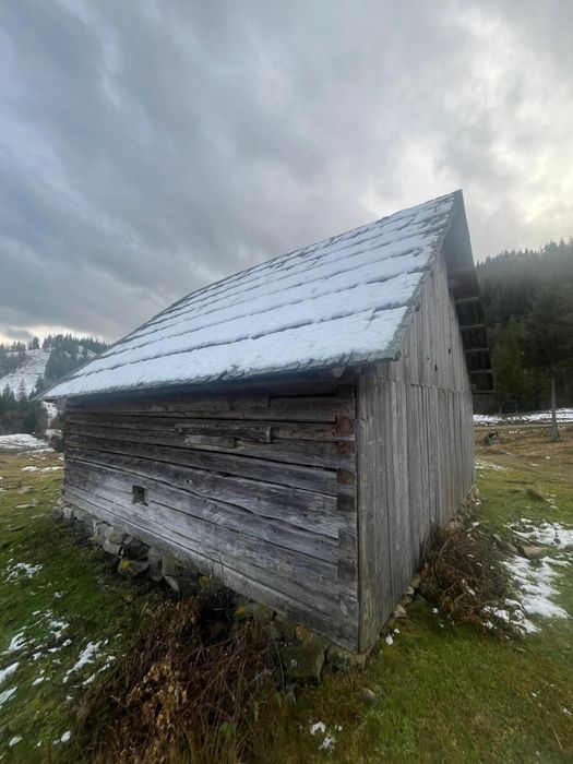 Vand constructie din lemn cioplit