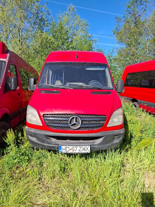 Microbuz Mercedes-Bens Sprinter 519 CDI