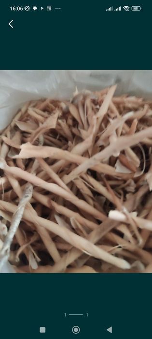 Продам стручки фасоли,мешок